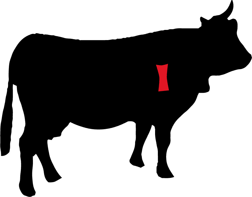 332620e7 930f 4096 a9a7 8610f9095be6