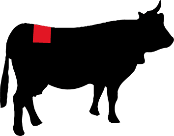 4b3bee87 df1e 4f05 9a57 5d3fbd8c2223