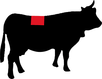 A3190818 b810 430f 976a 1302e0ab45bd