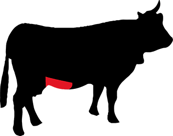 B51c868d 4c67 4487 a679 653dd4ee739a