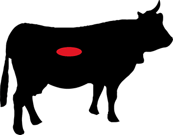 Baafd775 44d0 48e1 9011 79b8da5e22e0