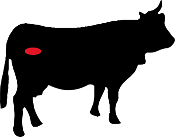 C127cab4 2e78 47db 941a 58ad473e4485