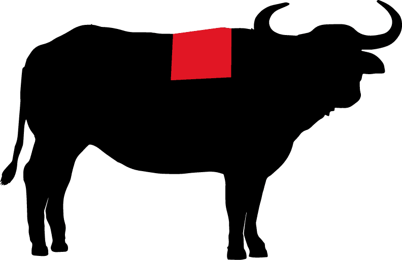 C5a89e65 3dfc 4761 bd94 dc8e52787708