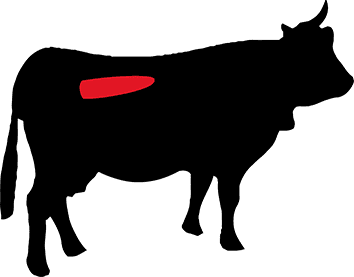 Fdb41b56 90db 460e 877c d4662b92c05d